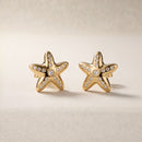 Naksh earstuds