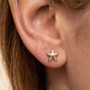 Naksh earstuds